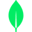MongoDB
